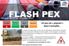 SDIS31-Ruches et FEN