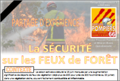 SDIS66-La sécurité sur les FDF
