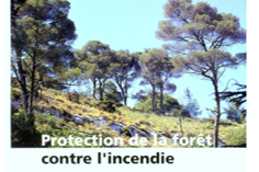 Guide de stratégie générale