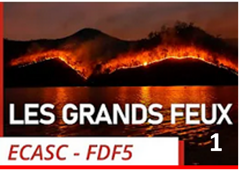 Les grands feux #1