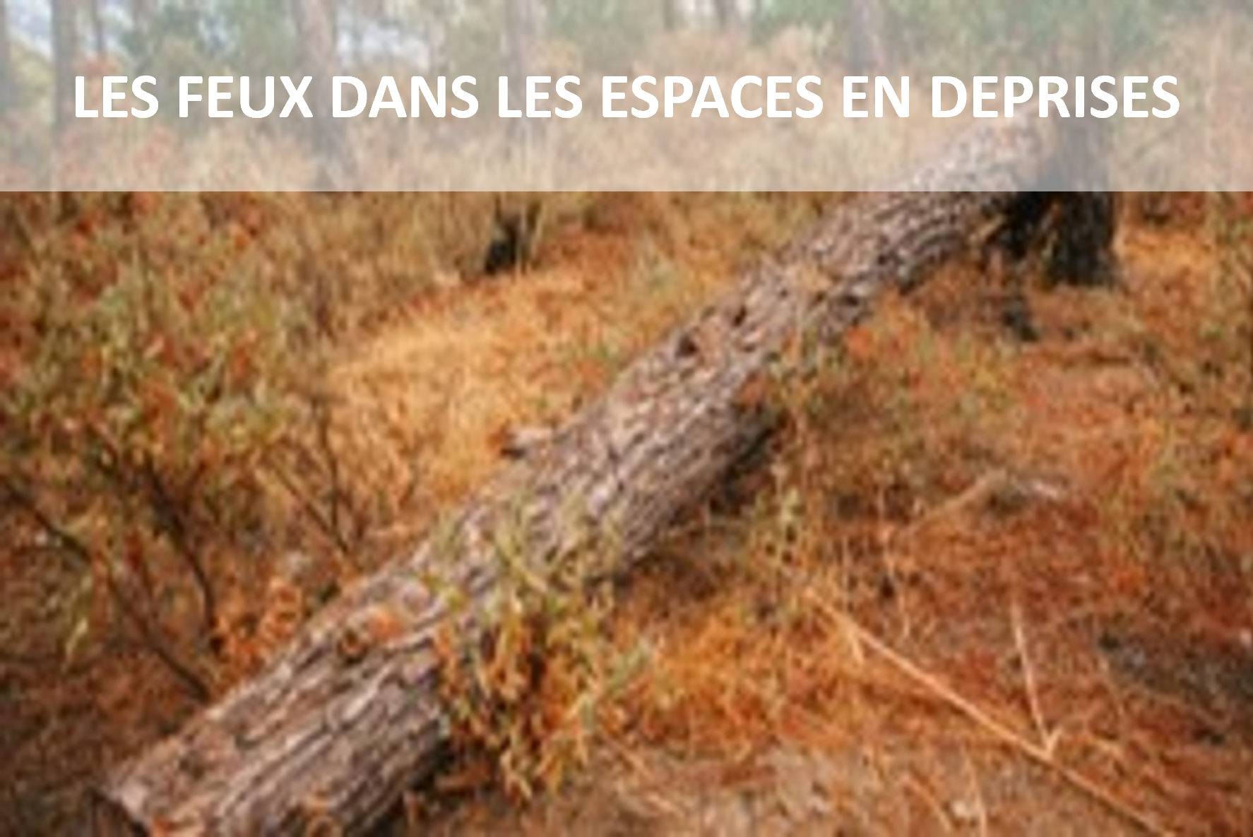 Le PC de site